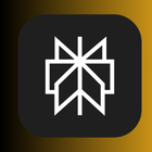 Perplexity Ai Pro